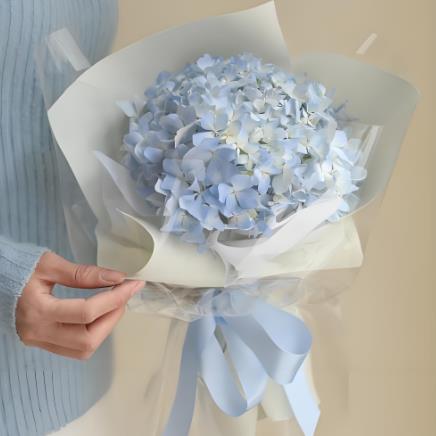ݼҺӿ985ѧʲô