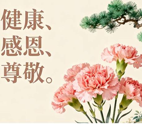 送给长辈的鲜花为什么首选康乃馨