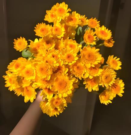 ССյصͻԢ