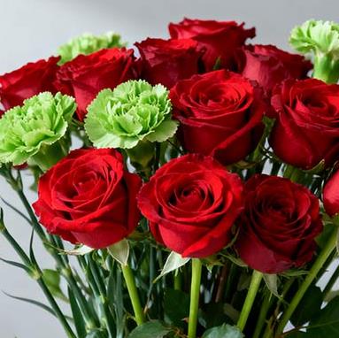 绿色康乃馨为什么做配花而不是主花材