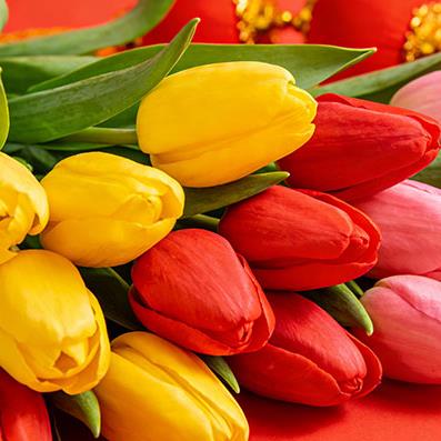 �������ʺ��͸�ʲô��