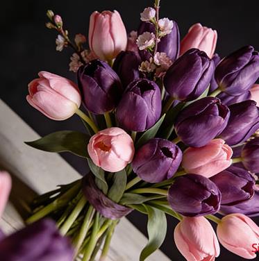 �������ʺ��͸�ʲô��