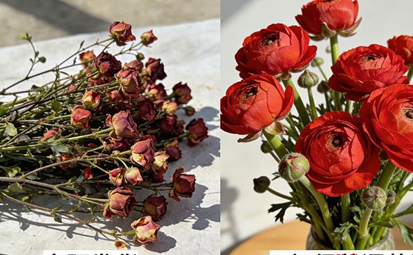 Ϊʲôֱ��������ʻ��͵�������԰�