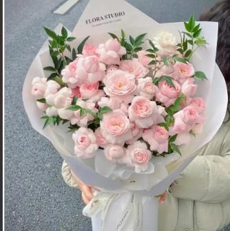 仙子之吻的特点和花语