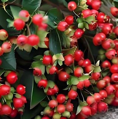 �춹����ʲô��ɫ�Լ��춹����