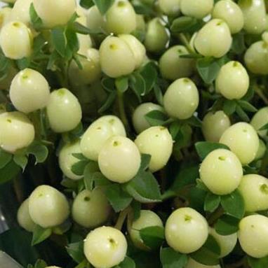 �춹����ʲô��ɫ�Լ��춹����