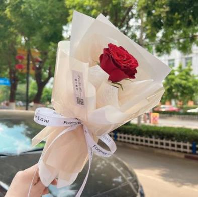 ���Ե�����һ֦����,��ʲô����