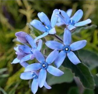 ���ǻ����ص�ͻ���,���ǻ�������������