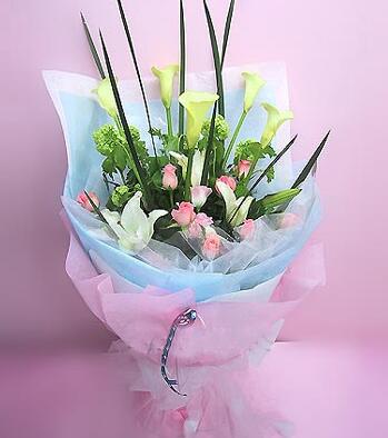 С���ӹ�������ʲô��������������