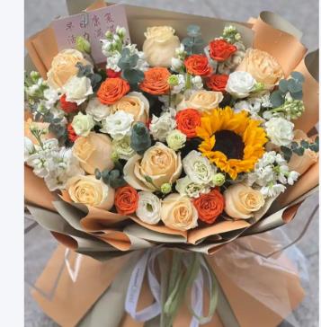 �ϰ���������ʲô���ȽϺ�