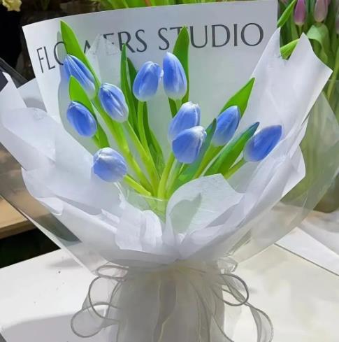 Ϊʲô����������˱Ƚ���