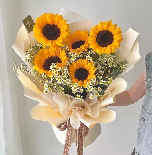 �����˳���,��ʲô�����ܵõ��������½�?