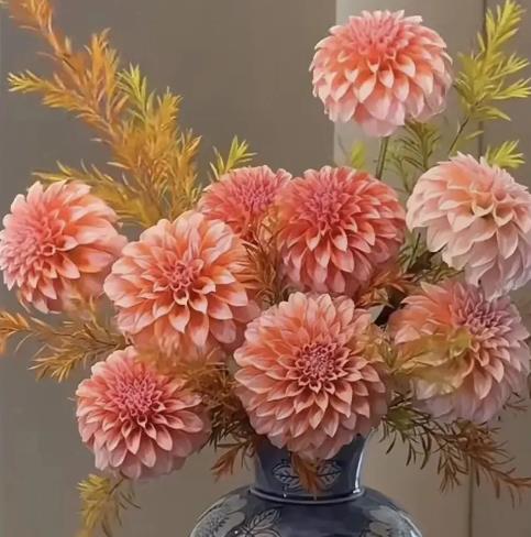 �����������ӵ��ص�ͻ�����ʲô