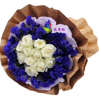 11朵白玫瑰花图片